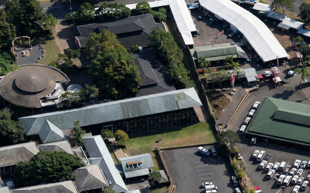 Are We Confusing Data Collection With Professional Service?